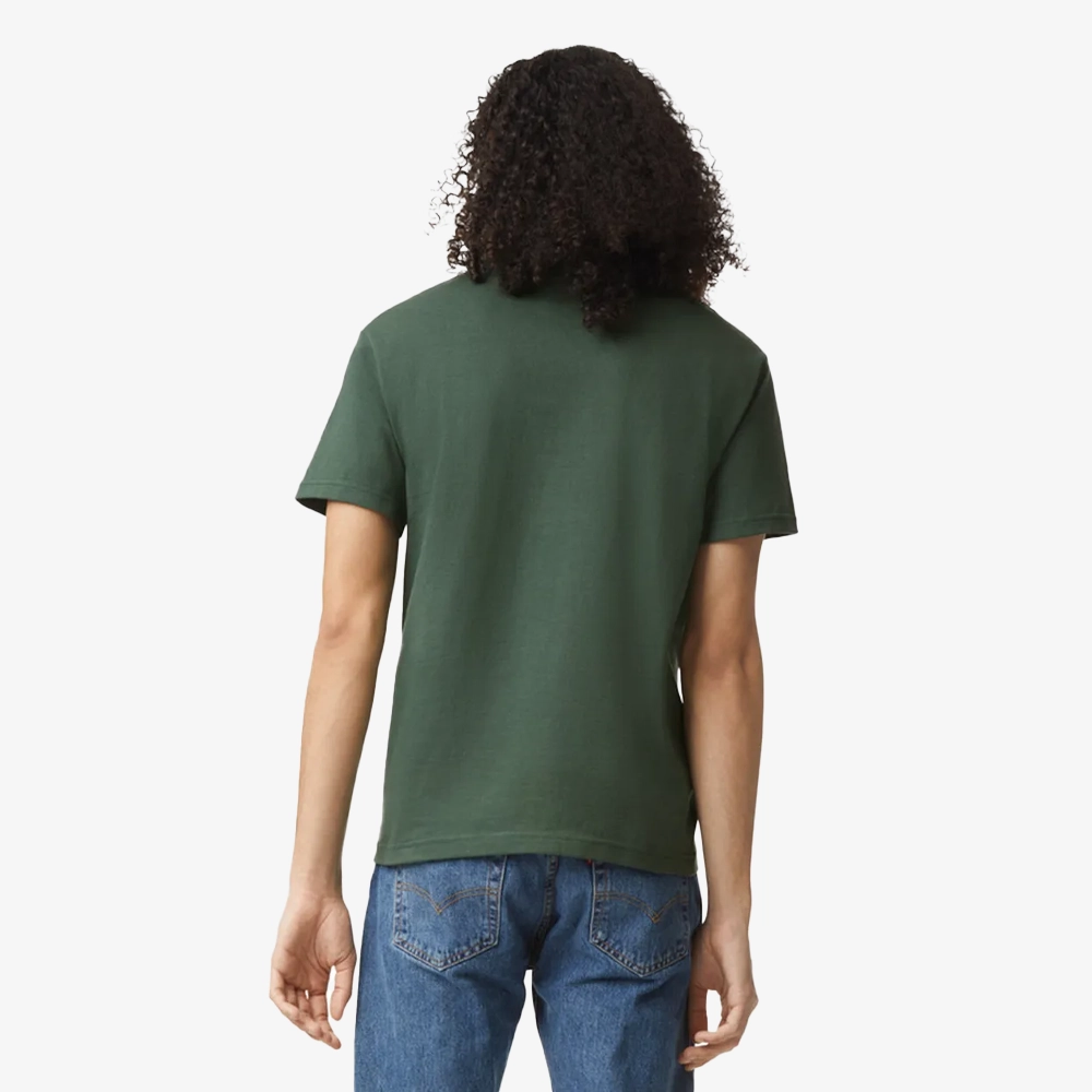 Aa1303 back_forest