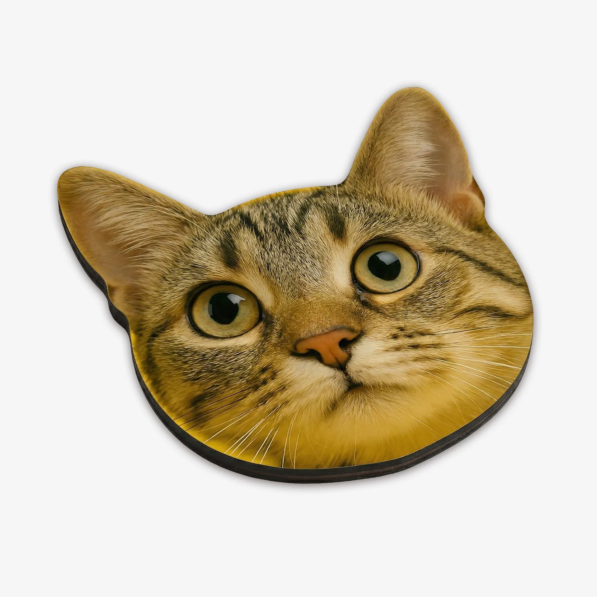 Cat exoboard