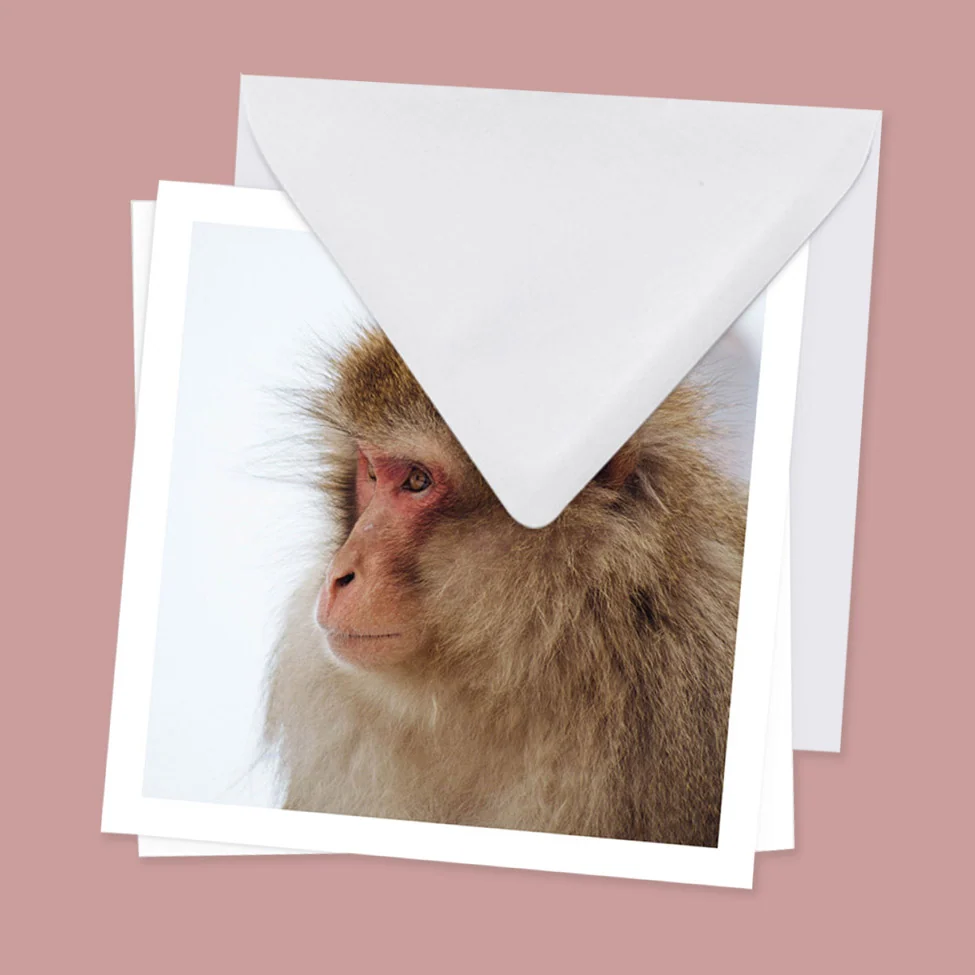 Examples of Squarespace print on demand artwork dropshipped by Prodigi
