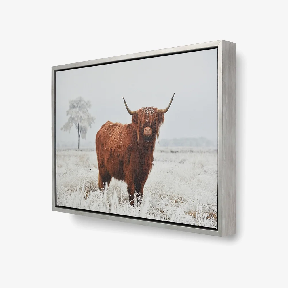 Prodigi silver canvas float frame
