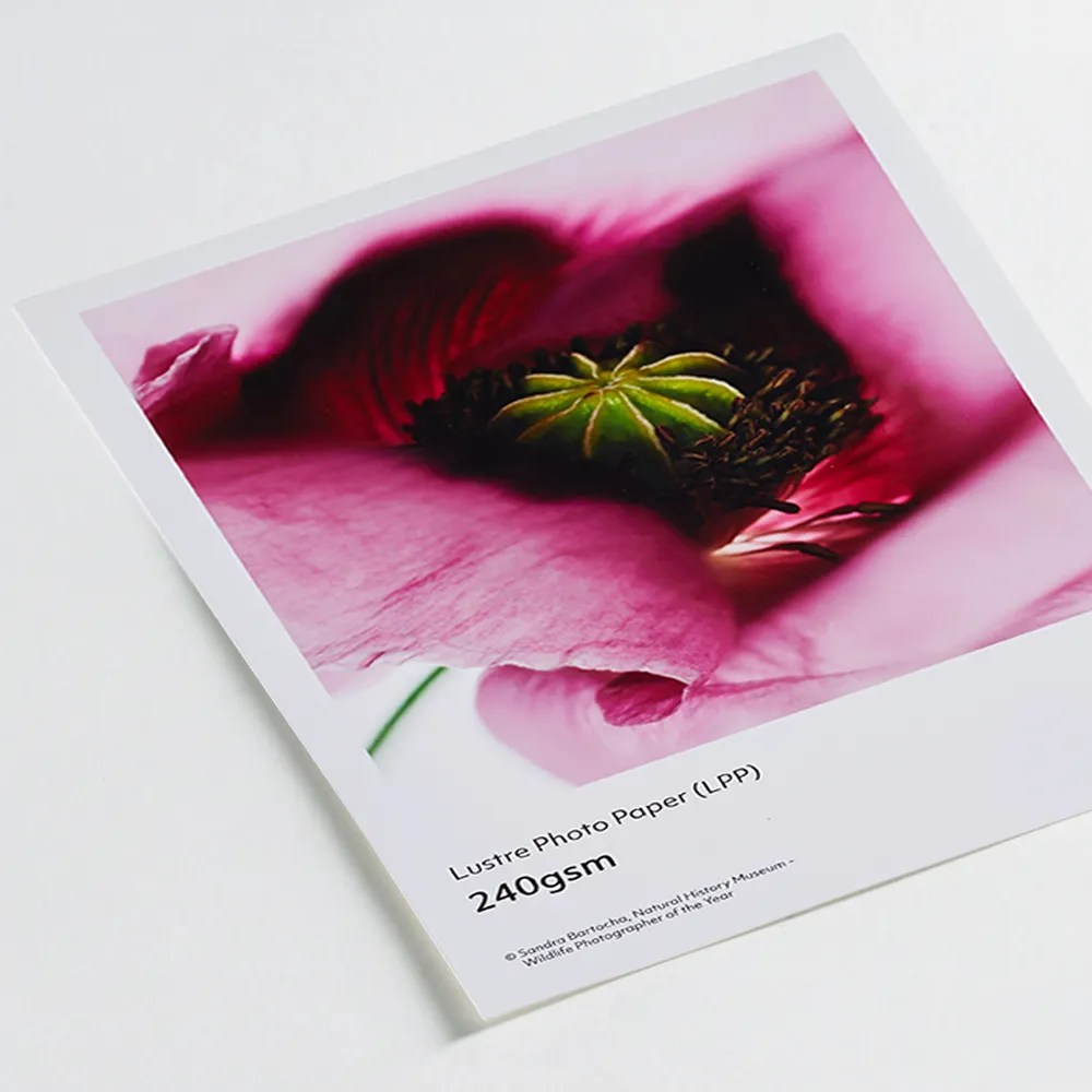 Lustre photo paper